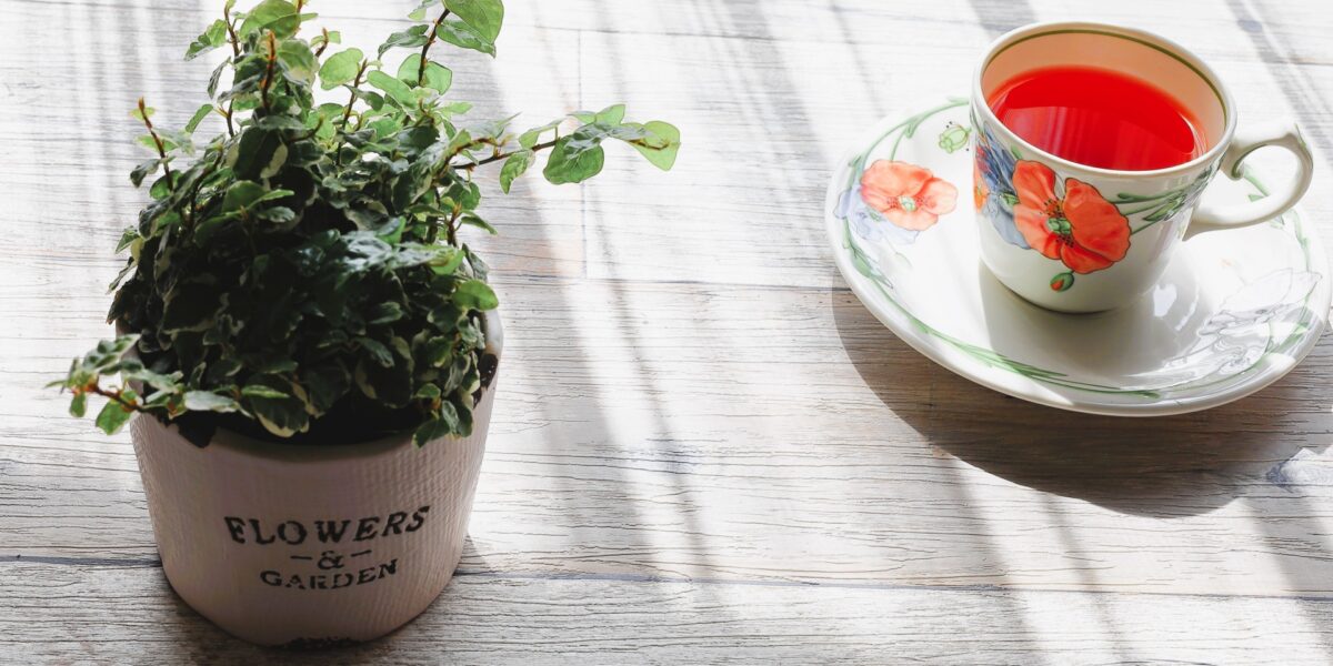 花柄のカップに入った赤いハーブティーと観葉植物